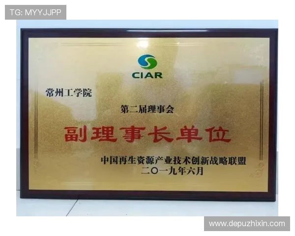 盛大娱乐：引领中国娱乐产业的创新与发展之路